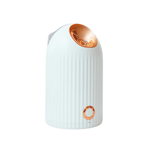 Face Steamer Hydrator