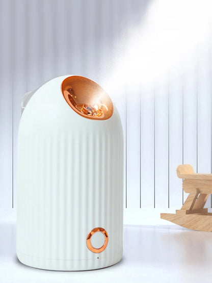 1Pc Face Steamer Spray Face Steamer Hot Water Spray Hydrator Skin Moisturizing Device Face Moisturizing Device Desk Face Steamer